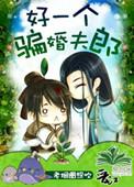 好一个骗婚夫郎类似的文
