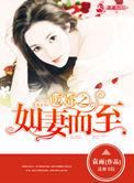 暖婚之如妻而至全文阅读最新章节更新
