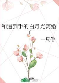 和追到手的白月光离婚了gl笔趣