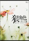狠角色英语