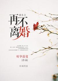 重生之不离婚gl