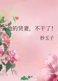 去他的贤妻不干了推文