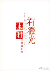 来时有微光资源
