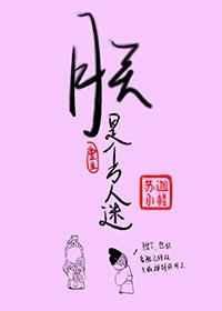 万人迷的朕只想闲鱼无防盗