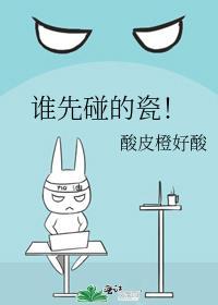 谁先碰的瓷txt