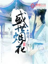 强泰盛世烟花