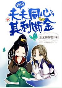 夫夫同心其利断金车
