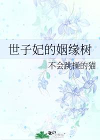 世子妃的姻缘树讲什么