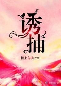 诱捕焰火 银八