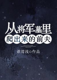 从 到将军