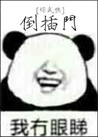倒插门综武侠格格党
