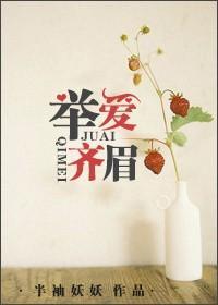 举爱齐眉txt资源