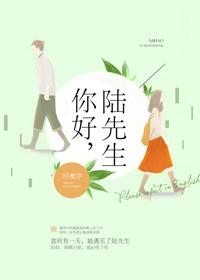 你好陆先生完结番外