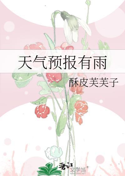 天气预报有雨怎么说