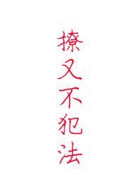 撩又不犯法是什么故事