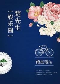 楚先生娱乐圈原版