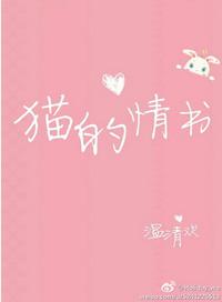 猫的情书免费阅读
