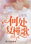 何处复槿歌黎致远订婚在哪章