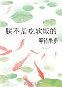 朕不是吃软饭的txt