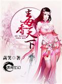 盛宠之医女毒妃