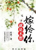 重生之不想再嫁你