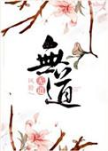 无道仙路TXT