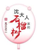 沈大人家的石榴树(重生) 作者见三之二