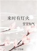 来时有灯火讲的是什么