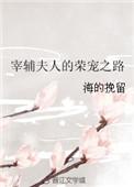 宰辅夫人的荣宠之路推荐