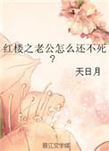 红楼之公府