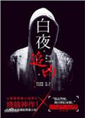 白夜追凶电视剧剧情介绍