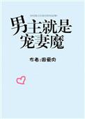 男主就是宠妻魔王