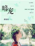 暗宠娇气包