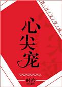 心尖宠晋江