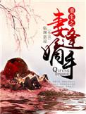 平妻重生之嫡妻归来