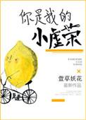 你是我的小虚荣晋江