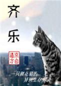 齐乐乐荣获齐鲁巾帼工匠