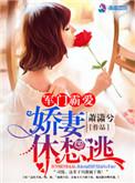 军门霸爱 娇妻怀里来