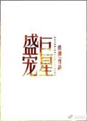 盛宠巨星类似