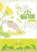 我家的小猫咪超凶