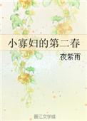 小寡妇的第二春.txt