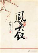 凤头钗的故事