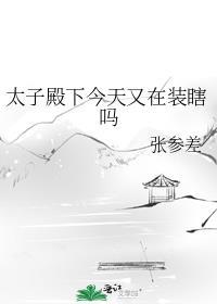 太子殿下又跑了