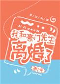 我和豪门先生离婚了短剧