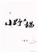 小野猫文化传媒有限公司