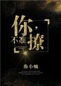 不准撩
