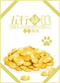 综五行缺钱txt