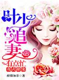 顾少花式追妻