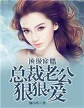 总裁老公宠到爆