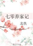 七零养家记大结局是什么